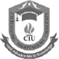 Chittagong Independent University